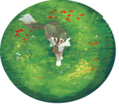 circle circle